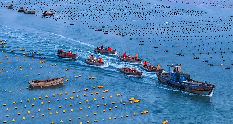 Agriculture & Fisheries